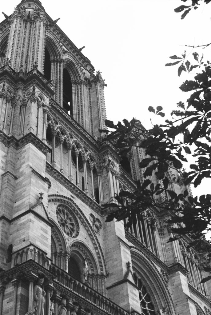 The Notre Dame on Kodak tri-x 400 film with a Pentax 35mm camera. Photo by Holly Michon Photography.