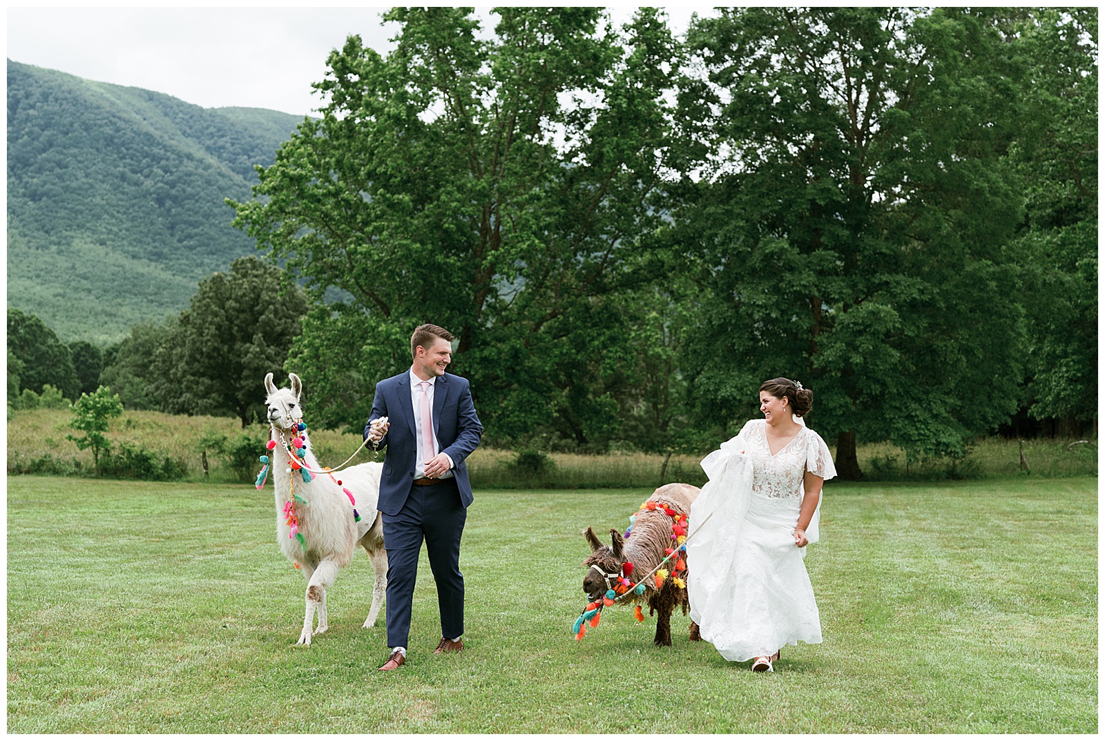 small intimate wedding in the countryside of East Tennessee. Photos by Holly Michon Photography