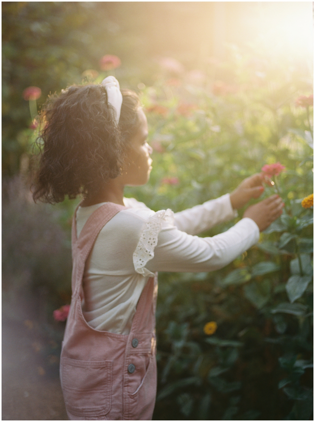 Image by Holly Michon Photography, glowing natural light hitting the flowers and little girl at the Knoxville Botanical Gardens.