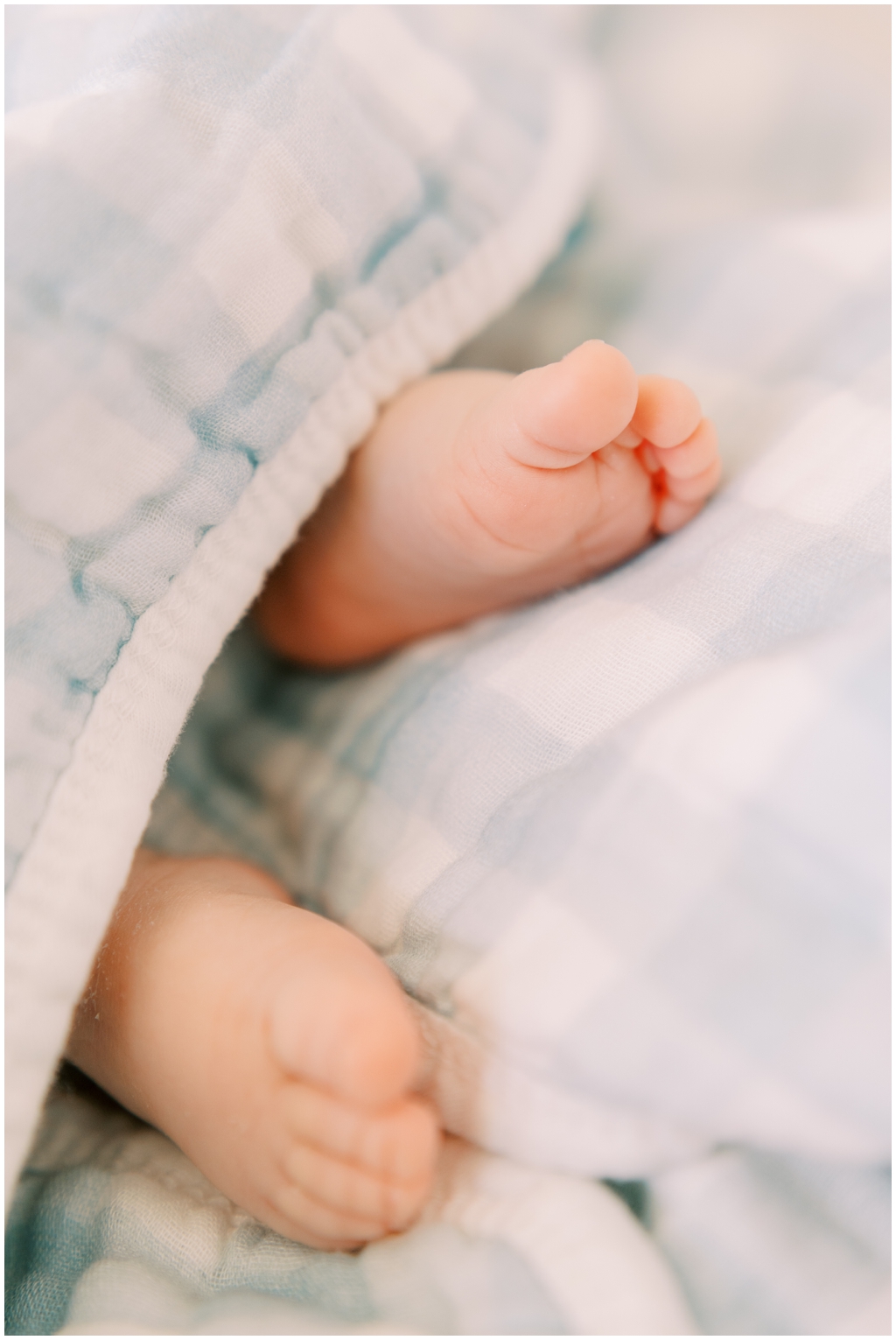 Detail images of newborn during intimate newborn session in Knoxville, TN.