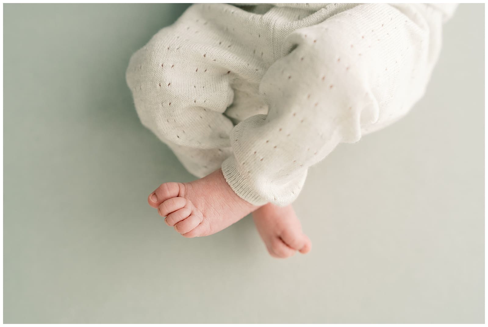 Detailed image of newborn baby feet by Holly Michon Photography in Knoxville, TN.
